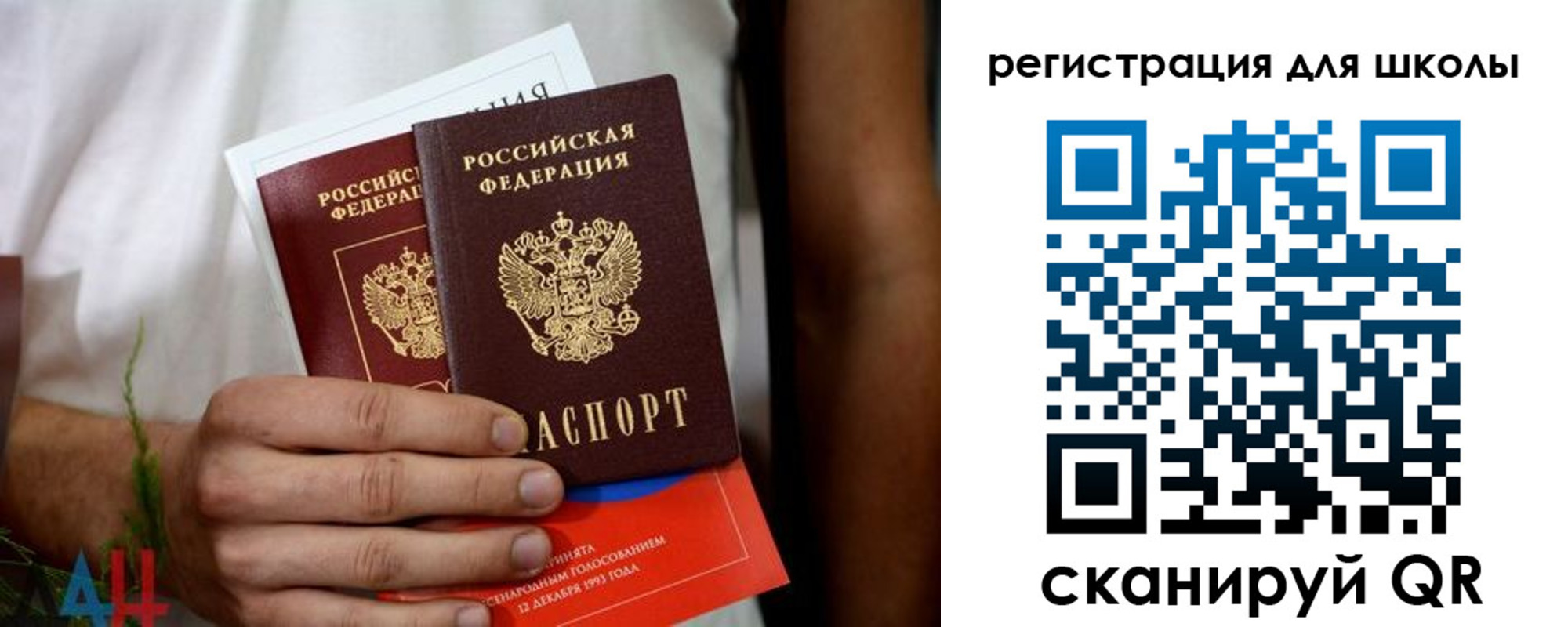 прописка гарантия в Курске