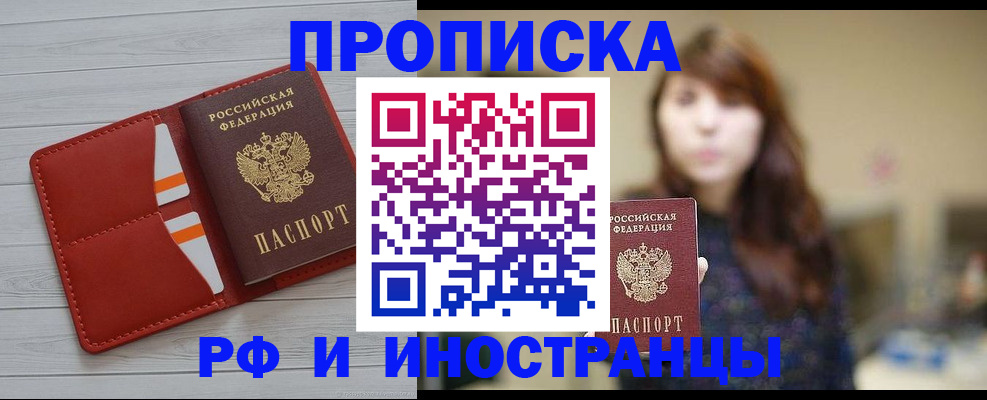 временная регистрация поиск в Курске